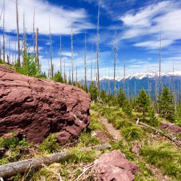 Meet your Posher, Connie - Picture 1 of 1